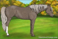 Horse Color:Silver Black 