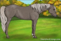 Horse Color:Silver Black 