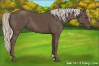 Horse Color:Silver Black 