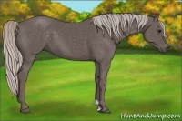 Horse Color:Silver Black 