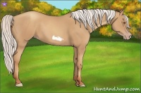 Horse Color:Silver Classic Champagne Frame 