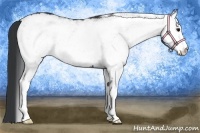 Horse Color:White Spotted Black 