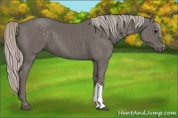 Horse Color:Silver Black 