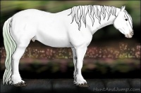 Horse Color:Watercolor Black Pearl Sabino Appaloosa 