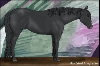 Horse Color:Black Frame 