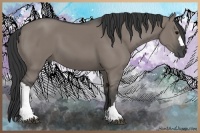 Horse Color:Grullo 