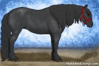 Horse Color:Blue Roan 