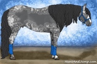 Horse Color:Black Ice 