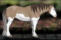 Horse Color:Classic Champagne Splash 
