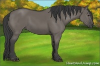 Horse Color:Smoky Grullo 