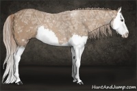 Horse Color:Palomino Ice Splash 