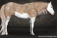Horse Color:Palomino Ice Splash 