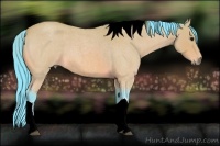 Horse Color:Watercolor Bay Roan Tobiano Rabicano 