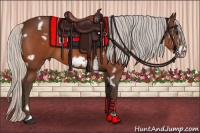 Horse Color:White Spotted Silver Bay Frame 