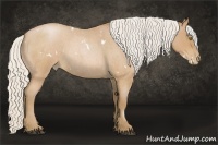 Horse Color:White Spotted Silver Brown Roan Pearl