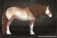 Horse Color:Brown Pearl Onyx Sabino Rabicano 