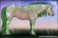 Horse Color:Watercolor Bay Ice 