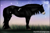 Horse Color:Gray Buckskin Ice Sabino