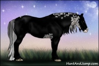 Horse Color:White Spotted Buckskin Ice