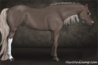 Horse Color:Silver Black 