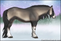 Horse Color:Smoky Blue Onyx