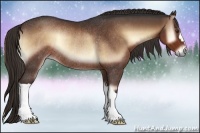 Horse Color:Liver Red Onyx Rabicano
