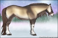 Horse Color:Chocolate Palomino Onyx