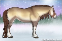 Horse Color:Liver Red Dun Onyx 