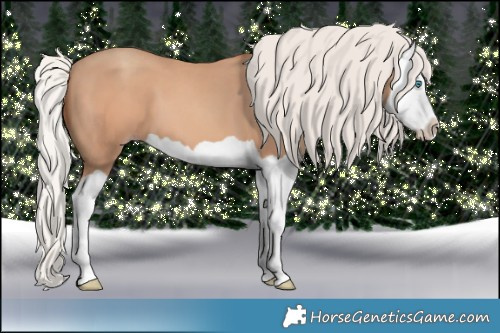 Horse Color:Silver Amber Champagne Splash