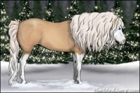 Horse Color:Silver Amber Champagne Splash 