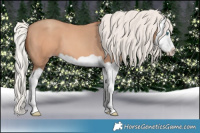 Horse Color:Silver Amber Champagne Splash