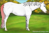 Horse Color:Watercolor White Spotted Gold Champagne Dun Splash 