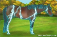 Horse Color:Thunderstruck Bay 