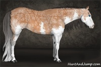 Horse Color:Bay Ice Splash 