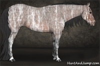 Horse Color:Bay Ice Roan 