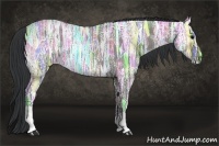 Horse Color:Grullo Ice 