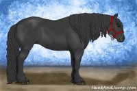 Horse Color:Black Rabicano