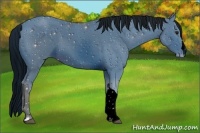 Horse Color:ERROR: UNKNOWN ANOMALY