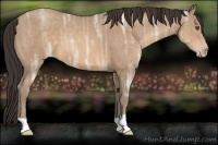 Horse Color:Sable Champagne Ice 