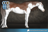 Horse Color:Liver Chestnut Sabino Splash