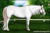 Horse Color:Chestnut Sabino Frame Varnish 