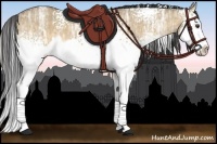 Horse Color:White Spotted Buckskin Ice Dun Splash 