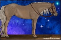 Horse Color:Chocolate Palomino 
