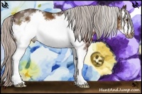 Horse Color:White Spotted Silver Bay Frame Rabicano 