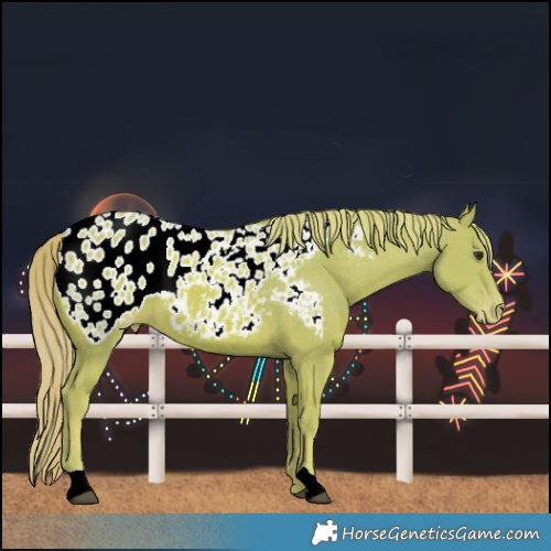 Horse Color:Watercolor Chestnut Blanket 