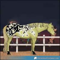 Horse Color:Watercolor Chestnut Blanket