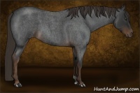 Horse Color:Liver Red Roan 