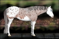 Horse Color:Bay Roan Splash Blanket