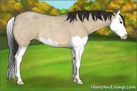 Horse Color:Bay Roan Dun Splash 