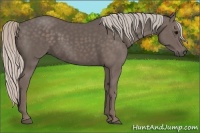 Horse Color:Silver Black 